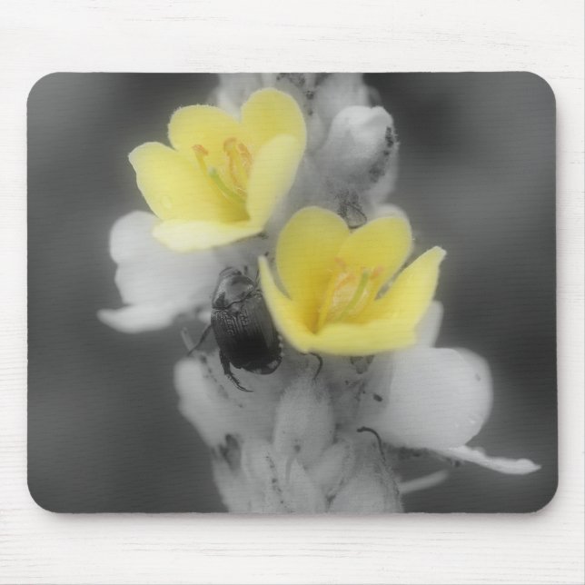 Mousepad Besouro No Bocal Branco Preto Da Flor Mullein (Frente)