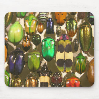 Mousepad Besouros, insetos e insetos