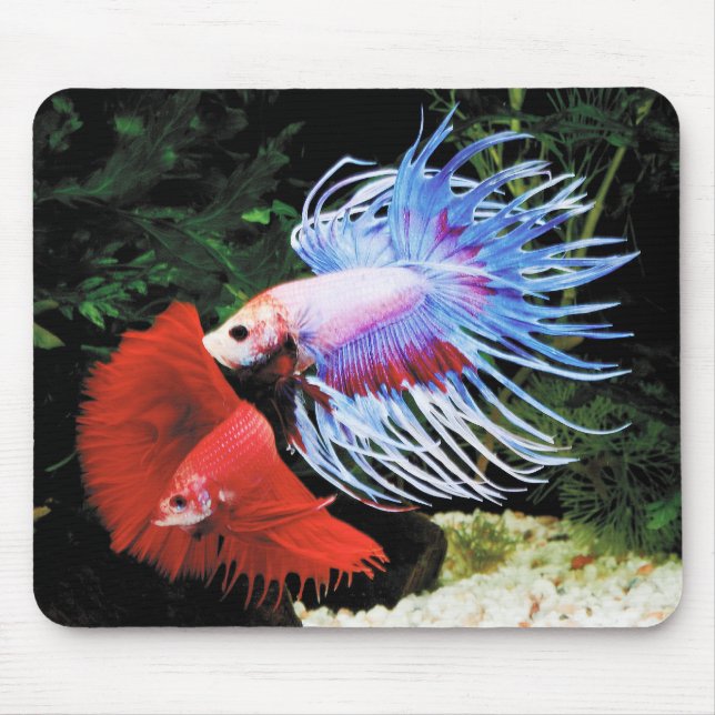Mousepad Bettaのマウスパッド,No.09 (Frente)