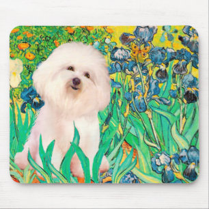 Mousepad Bichon Frise 4 - Irlandeses