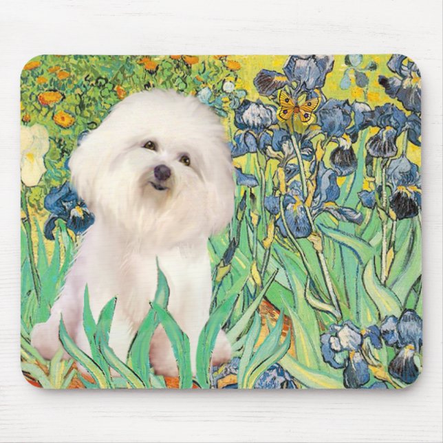 Mousepad Bichon Frise 4 - Irlandeses (Frente)