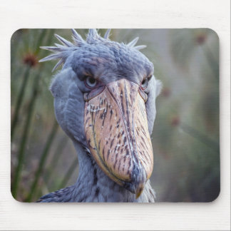 Mousepad Bico-de-sapato