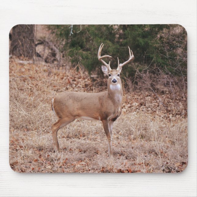 Mousepad Big and Beautiful Buck Deer Antlers in Winter (Frente)