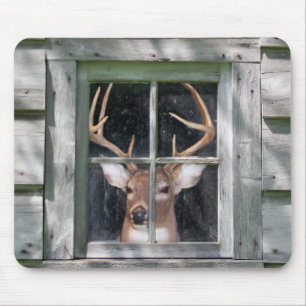 Mousepad Big Buck na janela da cabine