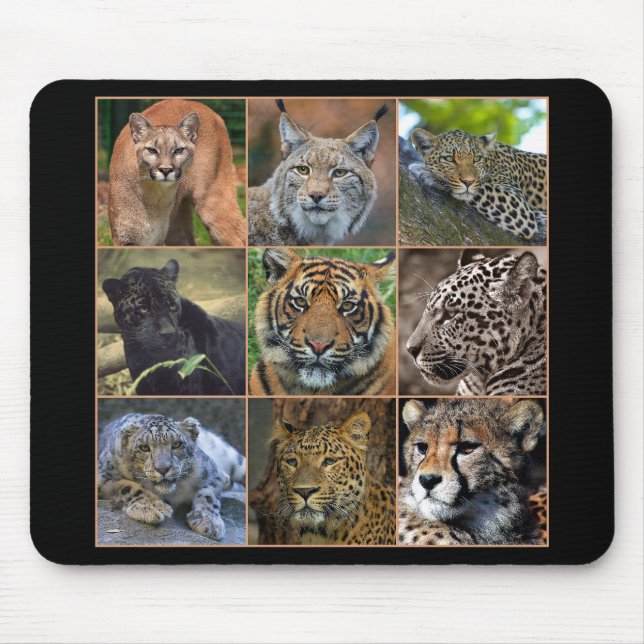 Mousepad Big cats (Frente)