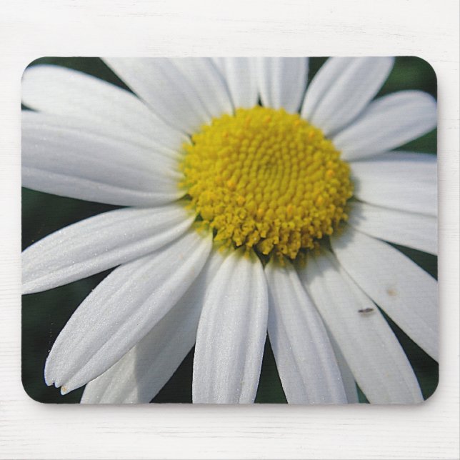 Mousepad Big Daisy (Frente)