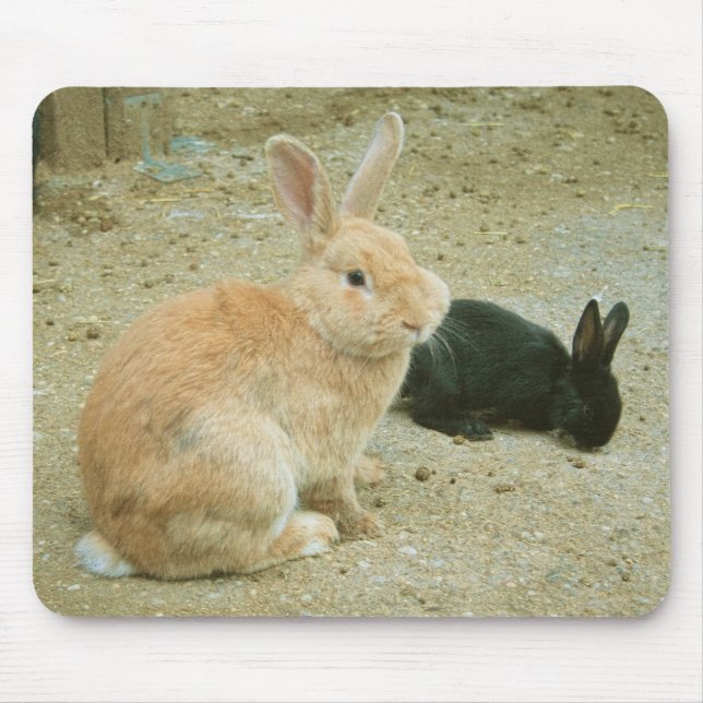 Mousepad Big Red Bunny (Frente)