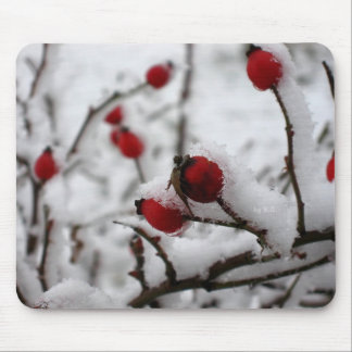 Mousepad big_winter