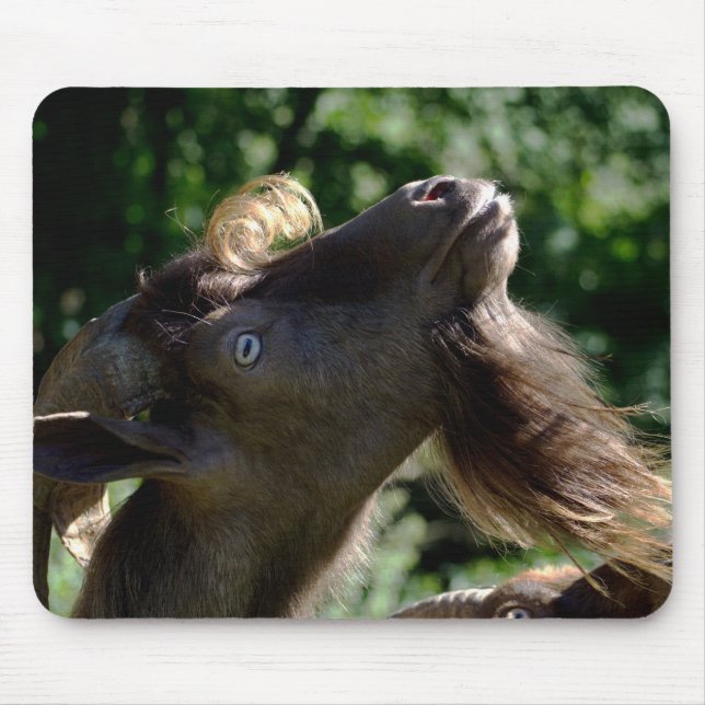 Mousepad Billy Goat (Frente)