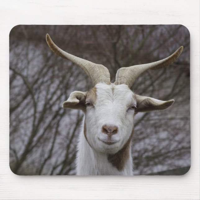 Mousepad Billy Goat (Frente)