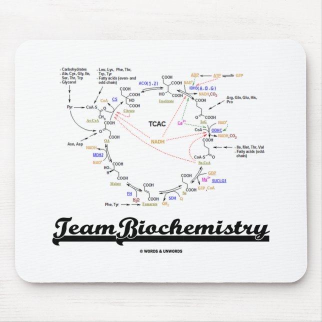 Mousepad Bioquímica da Equipe (Ciclo Cítrico Cítrico De Áci (Frente)