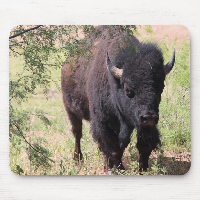 Mousepad Bison Close Up (Frente)