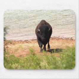 Mousepad Bison na Água
