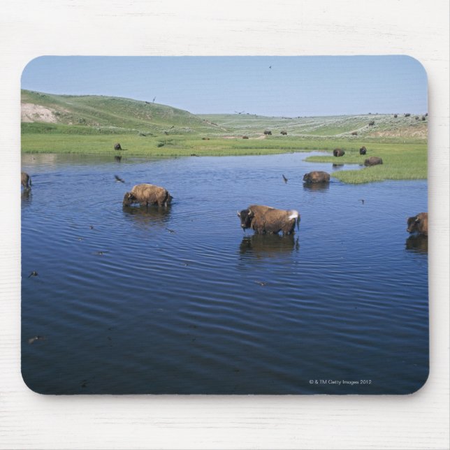 Mousepad Bison Na Água Com Numerosas Engordas De Cliff (Frente)