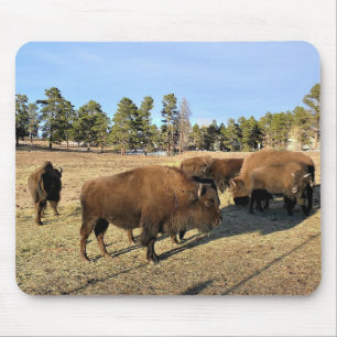 Mousepad Bison no Colorado