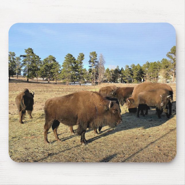 Mousepad Bison no Colorado (Frente)