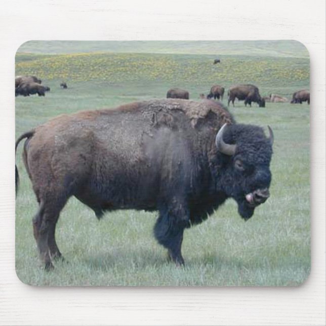 Mousepad Bisonte (Frente)