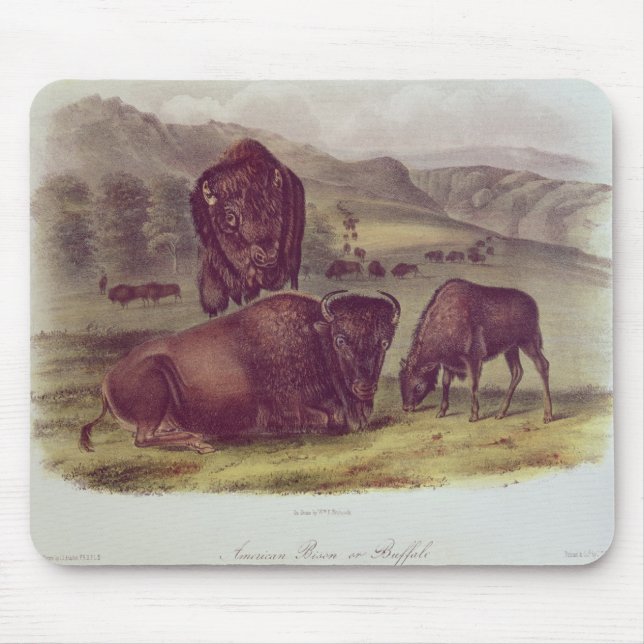 Mousepad Bisonte americano ou búfalo (Frente)