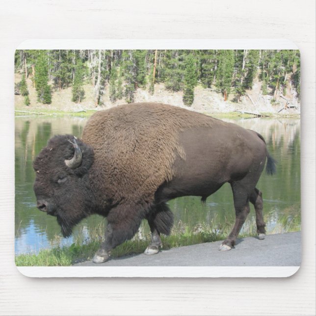 Mousepad Bisonte de Yellowstone (Frente)
