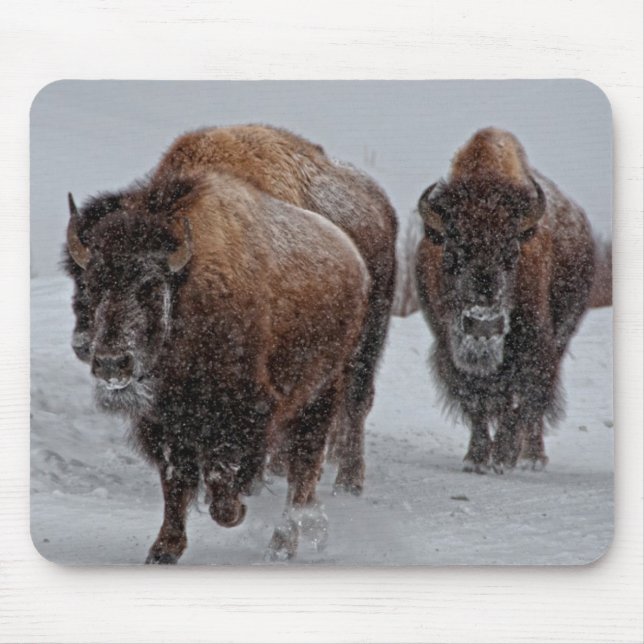 Mousepad Bisonte de Yellowstone (Frente)