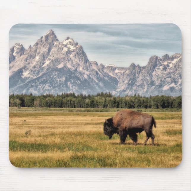 Mousepad Bisonte no Tetons (Frente)