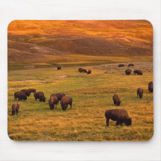 Mousepad Bisonte que pasta no monte no vale de Hayden (Frente)