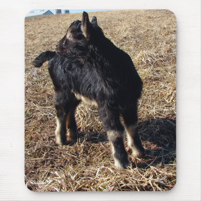 Mousepad Black and Tan Kid (Frente)