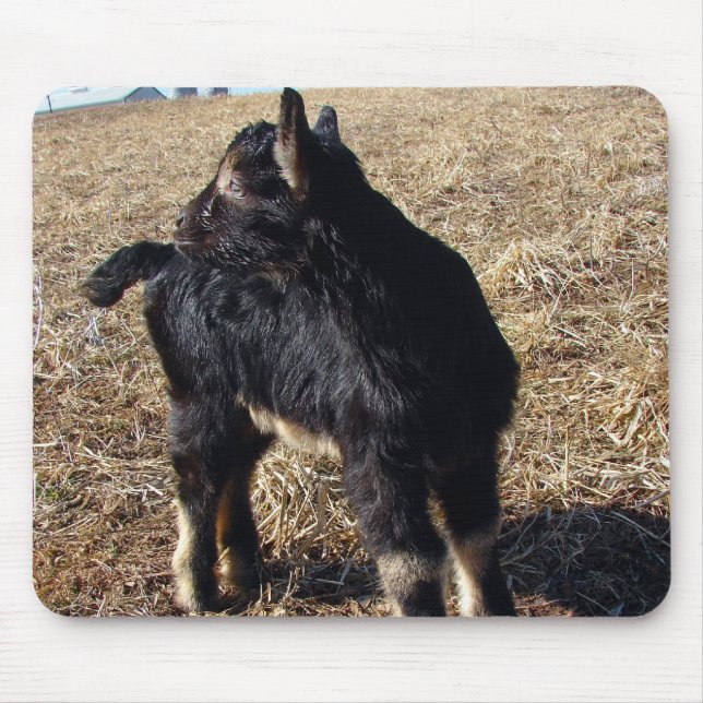 Mousepad Black and Tan Kid (Frente)