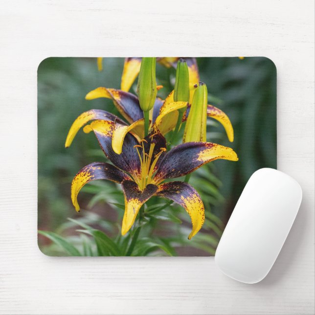 Mousepad Black Asiatic Lily, Dark Floral Photography (Com mouse)