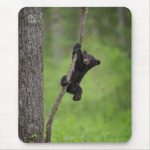 Mousepad Black Bear Cub playing on Tree Limb