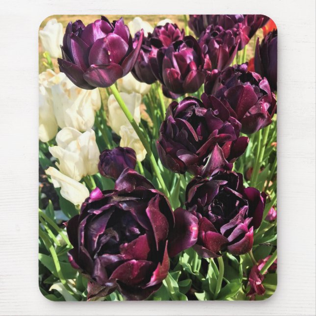 Mousepad Black Hero Tulips, Oregon (Frente)