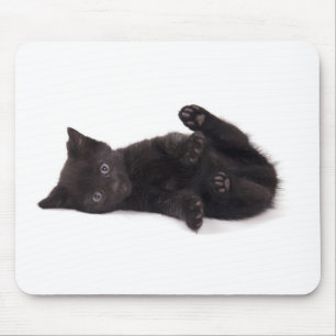 Mousepad black kitten