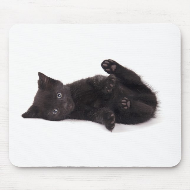 Mousepad black kitten (Frente)