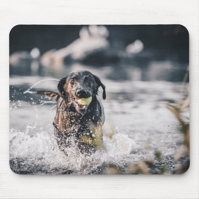 Mousepad Black Labrador Joga Busca Na Água (Frente)