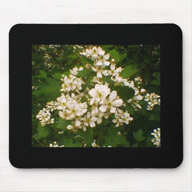 Mousepad Blackberry Blossom (Frente)