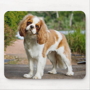 Mousepad Blenheim Cavalier King Charles Spaniel Puppy Dog