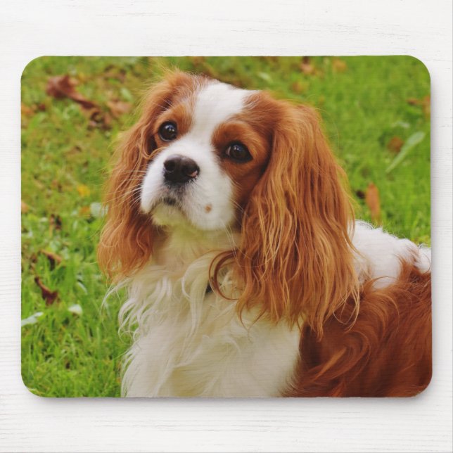 Mousepad Blenheim Cavalier King Charles Spaniel Puppy Dog (Frente)