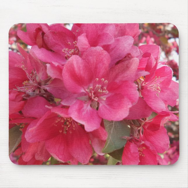Mousepad Bloco de bocal do ventilador da primavera (Frente)