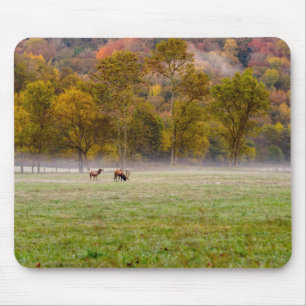 Mousepad Bloco de Casal de Elk Grazing