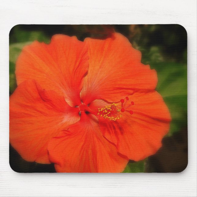 Mousepad Bloco de Flores Laranja Hibiscus (Frente)