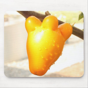 Mousepad Bloco de Fruta Rosto Fox
