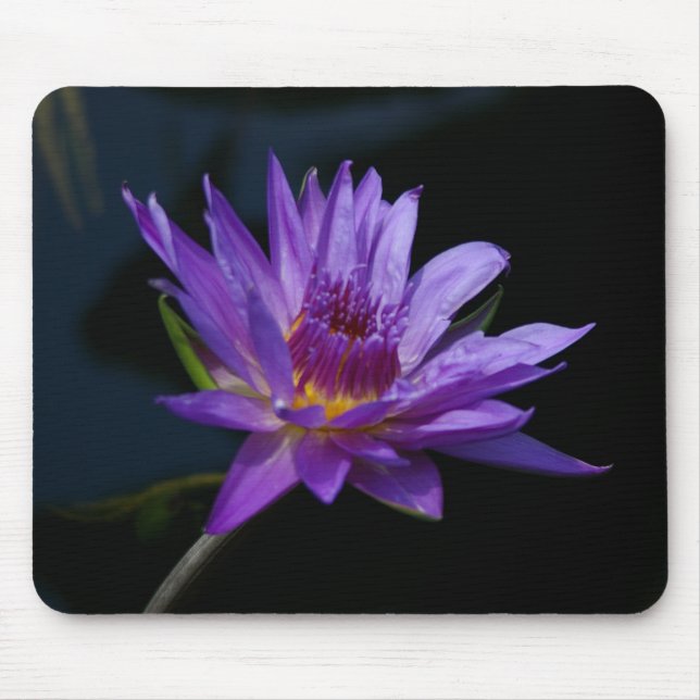 Mousepad Bloco de Mão Waterlily Purple Lotus (Frente)
