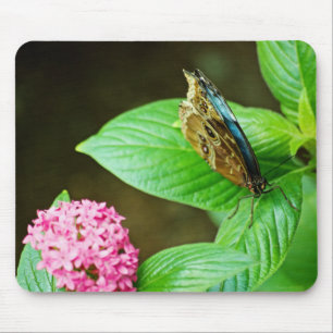 Mousepad Bloco de Mouse Azul 143