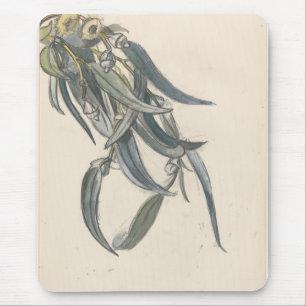 Mousepad Bloeiende tak van een eucalyptus