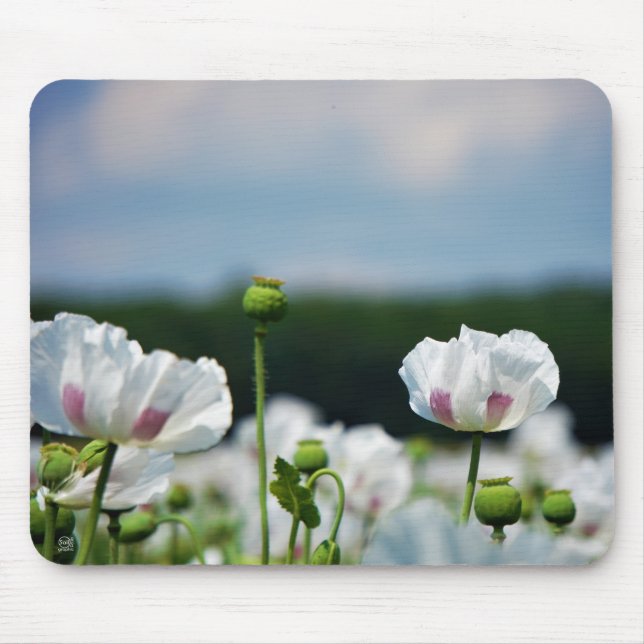 Mousepad Bloemen veld, Papaver somneferum maanzaad bloem. (Frente)