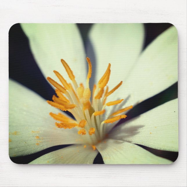 Mousepad Blogue Flower Center Close (Fechar) (Frente)
