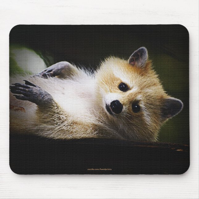Mousepad Blona-branca-guaxinim (Frente)