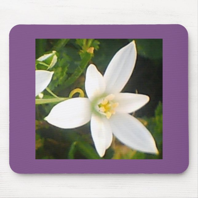 Mousepad Bloqueio de Flor Branco (Frente)
