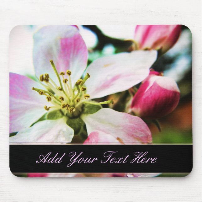 Mousepad Blossom da Maçã Texto personalizado Flor do Mouse (Frente)