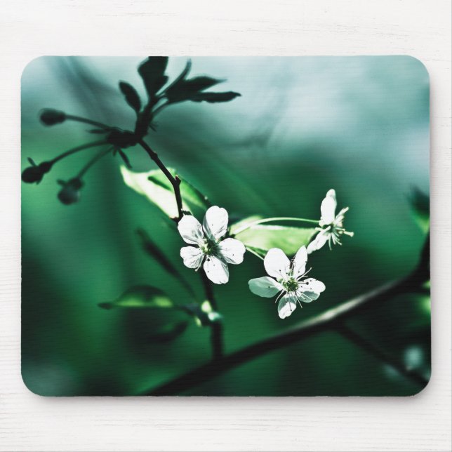 Mousepad Blossomas de Cereja Branca (Frente)